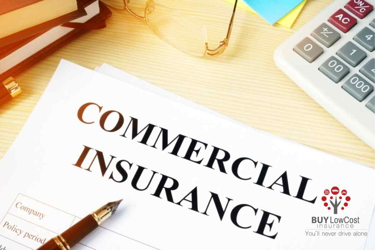 Looking for Commercial Insurance